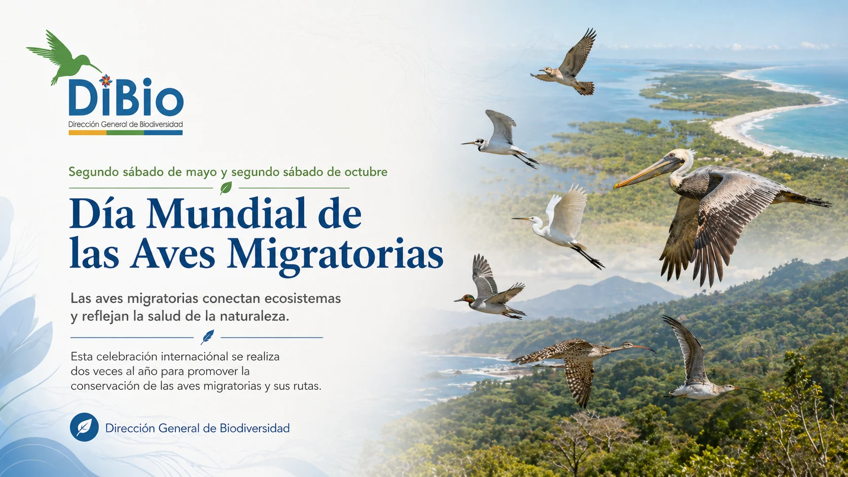 Día Mundial de las Aves Migratorias